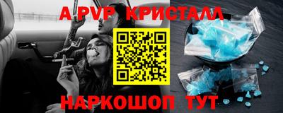 a pvp Новозыбков
