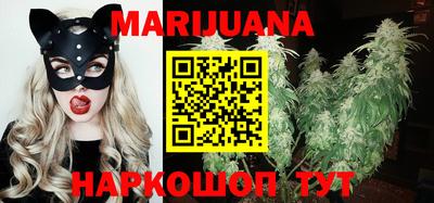 a pvp Новозыбков