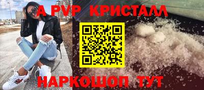 a pvp Новозыбков